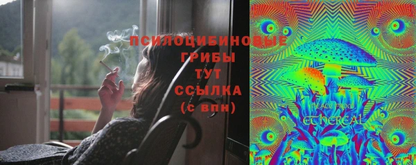 эйфоретик Алзамай