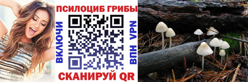 Псилоцибиновые грибы MAGIC MUSHROOMS  Апшеронск 